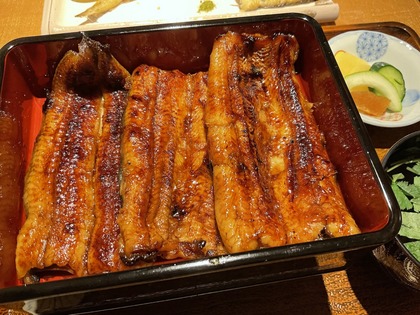 “布川俊樹・高齢者突入